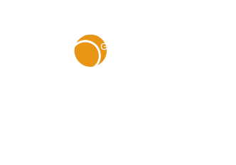 feverdeals.com